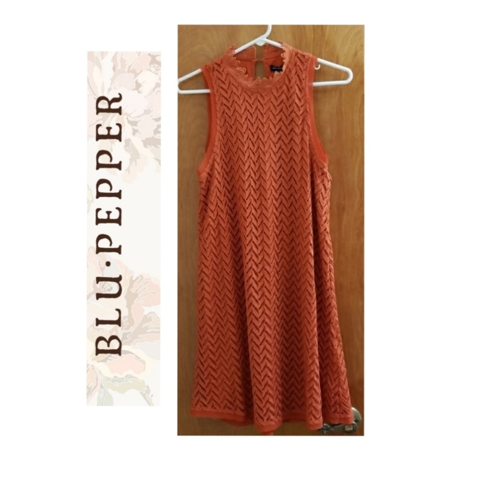 🍉 BNWT Blu Pepper Rust Colored Dress